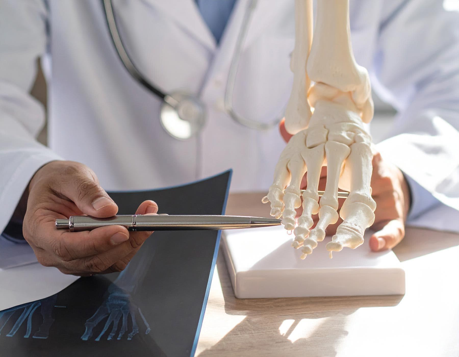 Arzt zeigt mit Stift auf ein anatomisches Modell eines menschlichen Fußes
