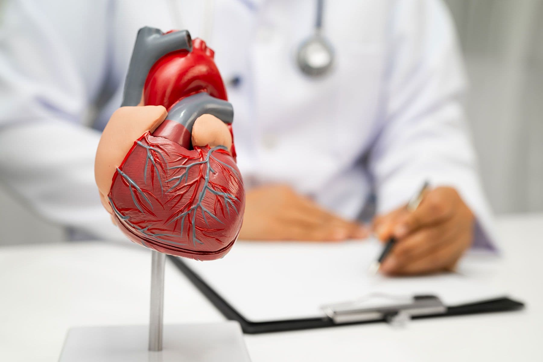 Modell eines menschlichen Herzens im Vordergrund, Arzt im Hintergrund schreibt auf Klemmbrett